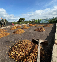 Load image into Gallery viewer, Quindio // Colombia - Passion Fruit