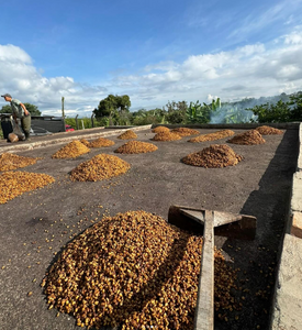 Quindio // Colombia - Passion Fruit